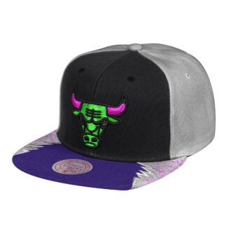 Day 5 Snapback Chicago Bulls
